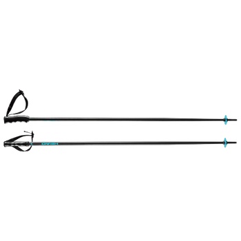 Ski poles HEAD Multi Black Speed Blue - 2024/25