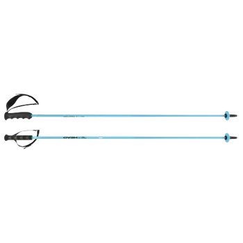 Ski poles HEAD Worldcup Rebels Carbon Speed Blue - 2024/25