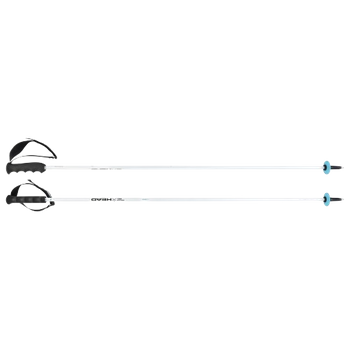 Ski poles HEAD Worldcup Rebels Carbon White - 2024/25