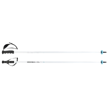 Ski poles HEAD Worldcup SL White - 2024/25