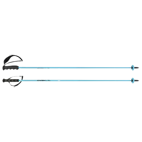 Ski poles HEAD Worldcup Rebels Carbon Speed Blue - 2024/25