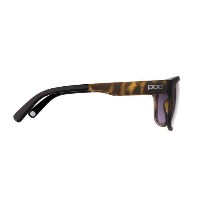 Sunglasses POC Require Tortoise Brown - 2024/25