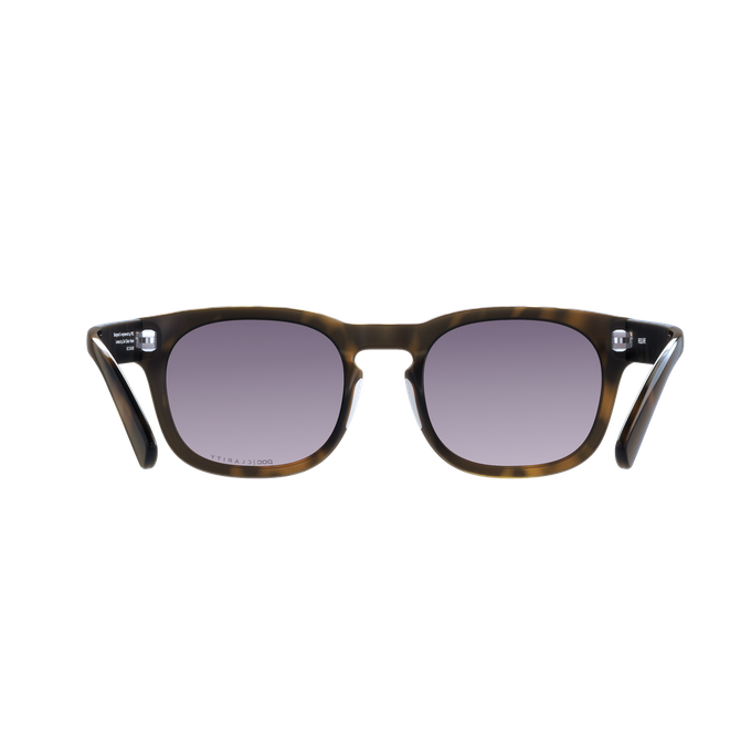 Sunglasses POC Require Tortoise Brown - 2024/25
