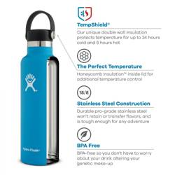 HYDRO FLASK 21 OZ STANDARD FLEX CAP ALPINE