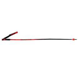 Ski poles Rossignol Hero GS-SG - 2024/25