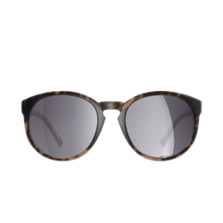 Sunglasses POC Know Tortoise Brown/Clarity Road/Sunny Silver