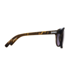 Sunglasses POC Know Tortoise Brown/Clarity Road/Sunny Silver