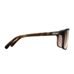 Sunglasses POC Will Tortoise Brown/Clarity Trail/Partly Sunny Silver