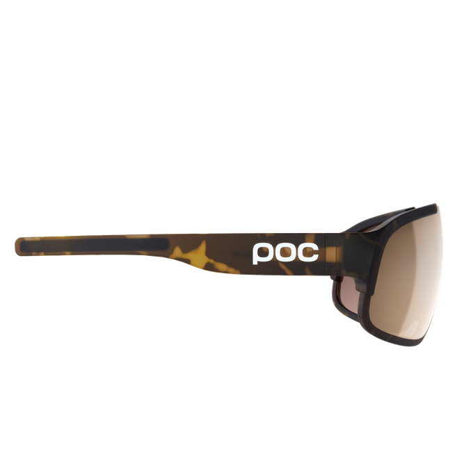 Sonnenbrille POC Crave Tortoise Brown - 2024/25