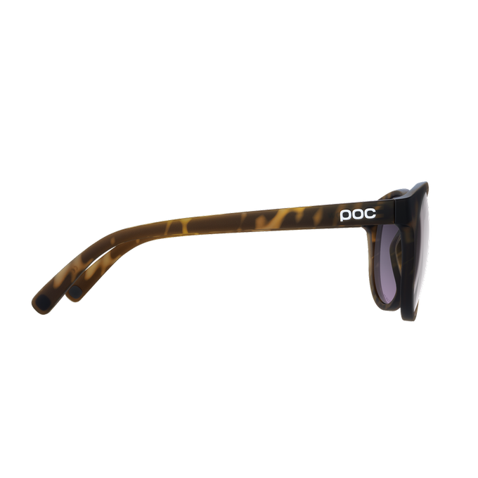 Sonnenbrille POC Know Tortoise Brown - 2024/25