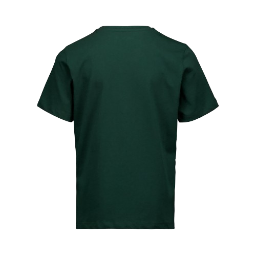 T-shirt POC POC Tee Jr Pargasite Green - 2024/25