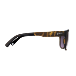 Sonnenbrille POC Require Tortoise Brown - 2024/25