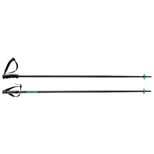 Ski poles HEAD Multi Black Speed Blue - 2024/25