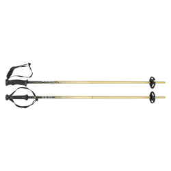 Ski poles HEAD Kore Team Metallic Sand/Black - 2025/26