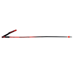 Ski poles Rossignol Hero GS-SG - 2024/25