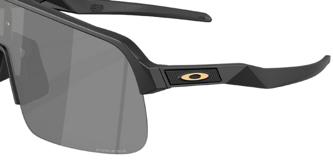 Sonnenbrille Oakley Sutro Lite S PC Matte Blsck Frame/Prizm Black Lenses