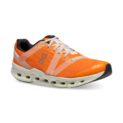 Men shoes On Running Cloudgo Turmeric/Aloe