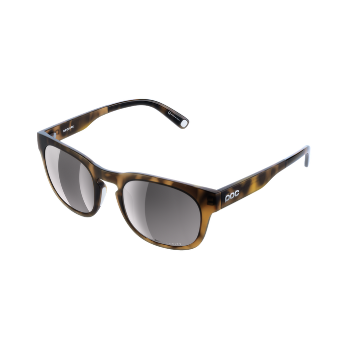 Sunglasses POC Require Tortoise Brown - 2024/25