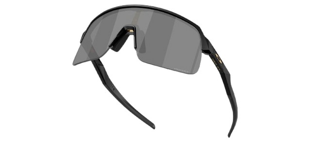 Sonnenbrille Oakley Sutro Lite S PC Matte Blsck Frame/Prizm Black Lenses