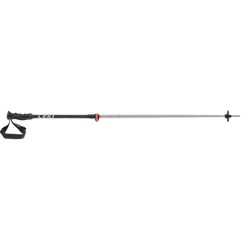 Kije LEKI Rental Vario