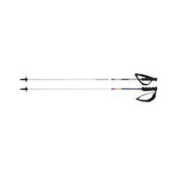 Ski poles Head Porsche Carbon - 2023/24