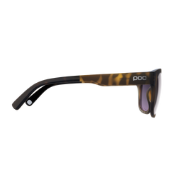 Sonnenbrille POC Require Tortoise Brown - 2024/25