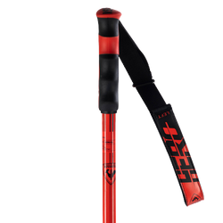 Ski poles Rossignol Hero SL - 2024/25