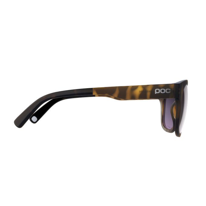 Sunglasses POC Require Tortoise Brown - 2024/25