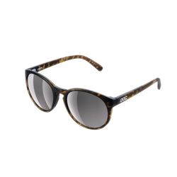 Sonnenbrille POC Know Tortoise Brown/Clarity Road/Sunny Silver